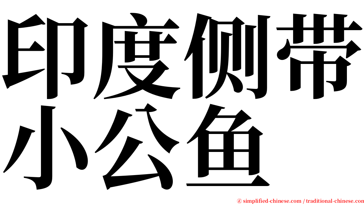 印度侧带小公鱼 serif font