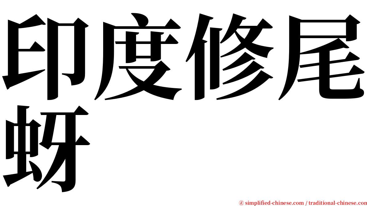 印度修尾蚜 serif font
