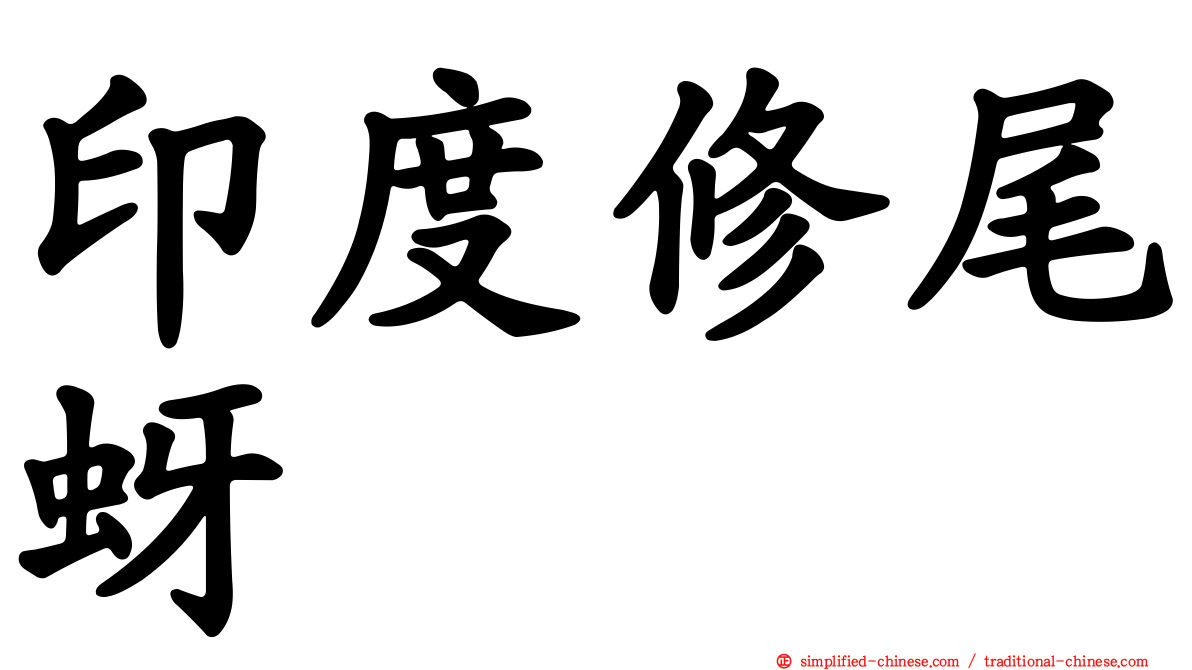 印度修尾蚜