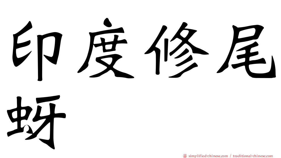印度修尾蚜