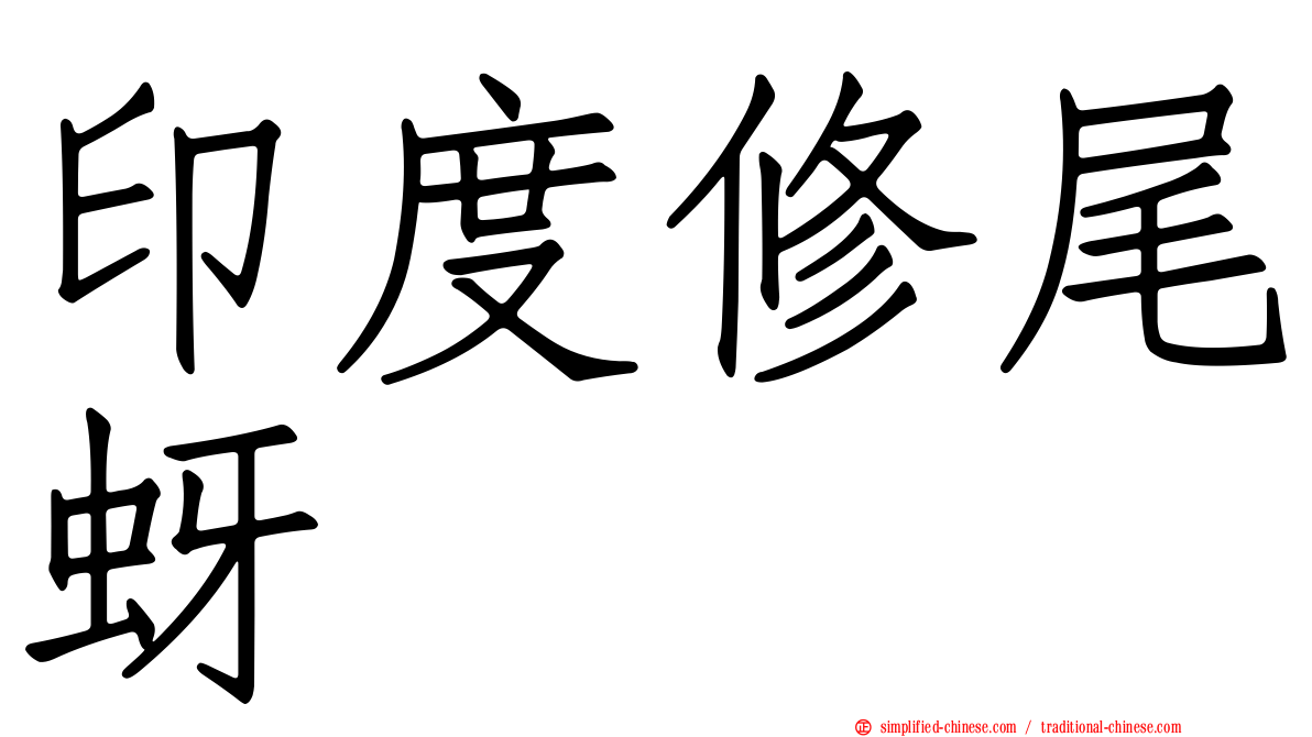 印度修尾蚜