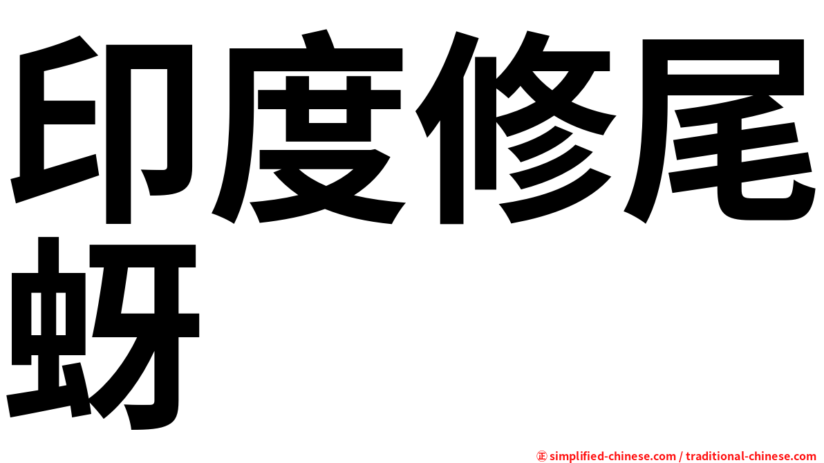 印度修尾蚜