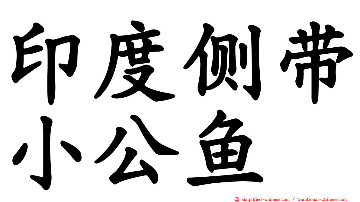 印度侧带小公鱼