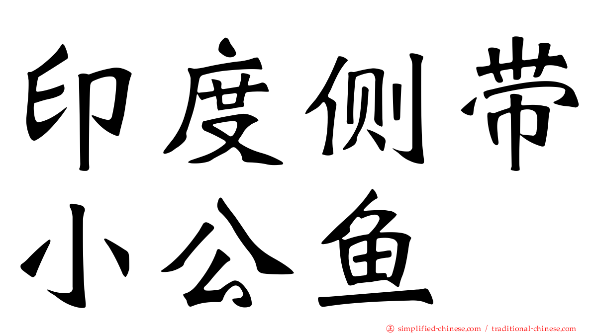 印度侧带小公鱼