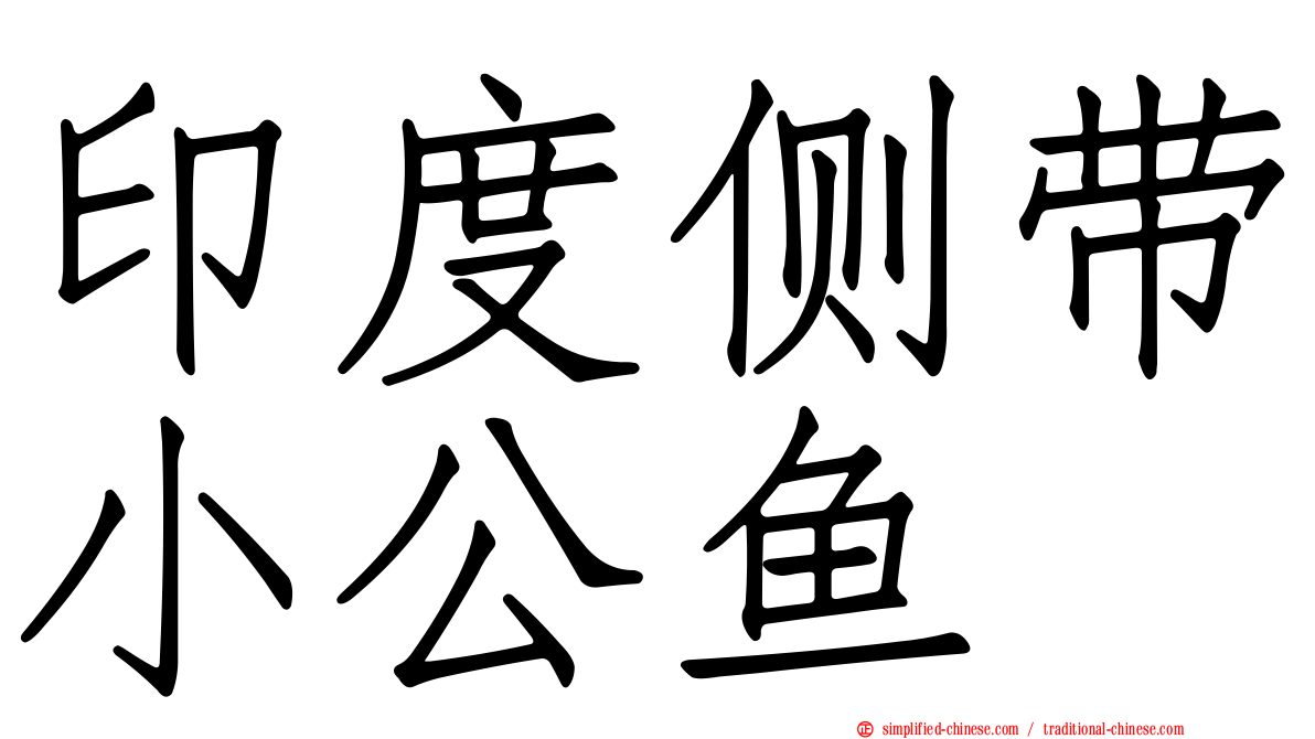 印度侧带小公鱼