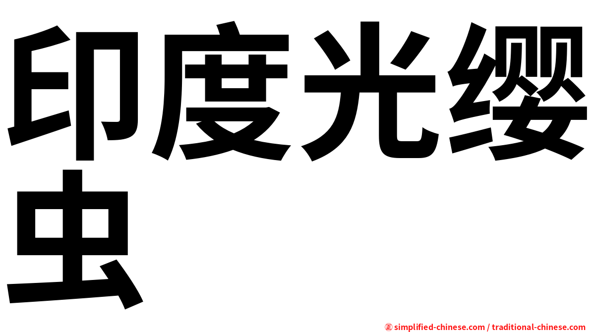 印度光缨虫