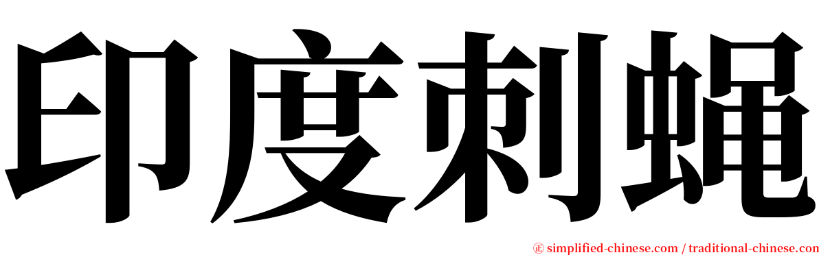 印度刺蝇 serif font