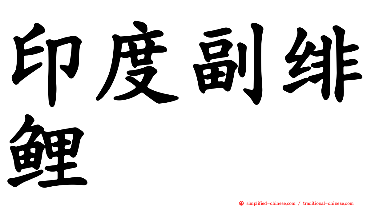 印度副绯鲤