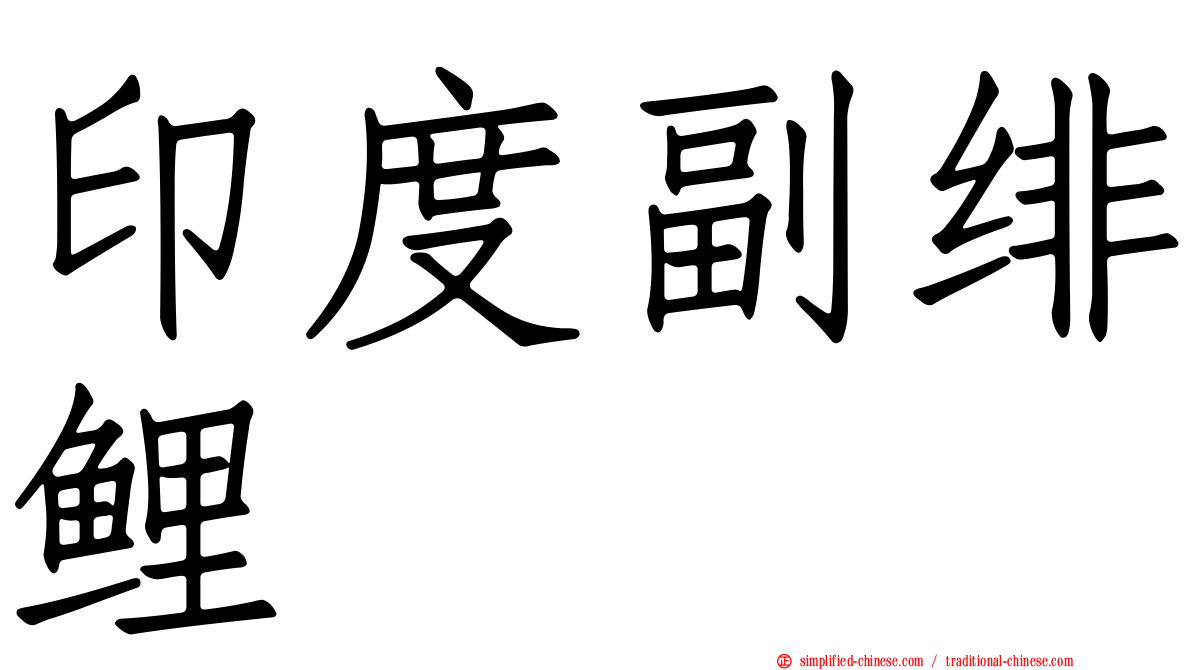 印度副绯鲤