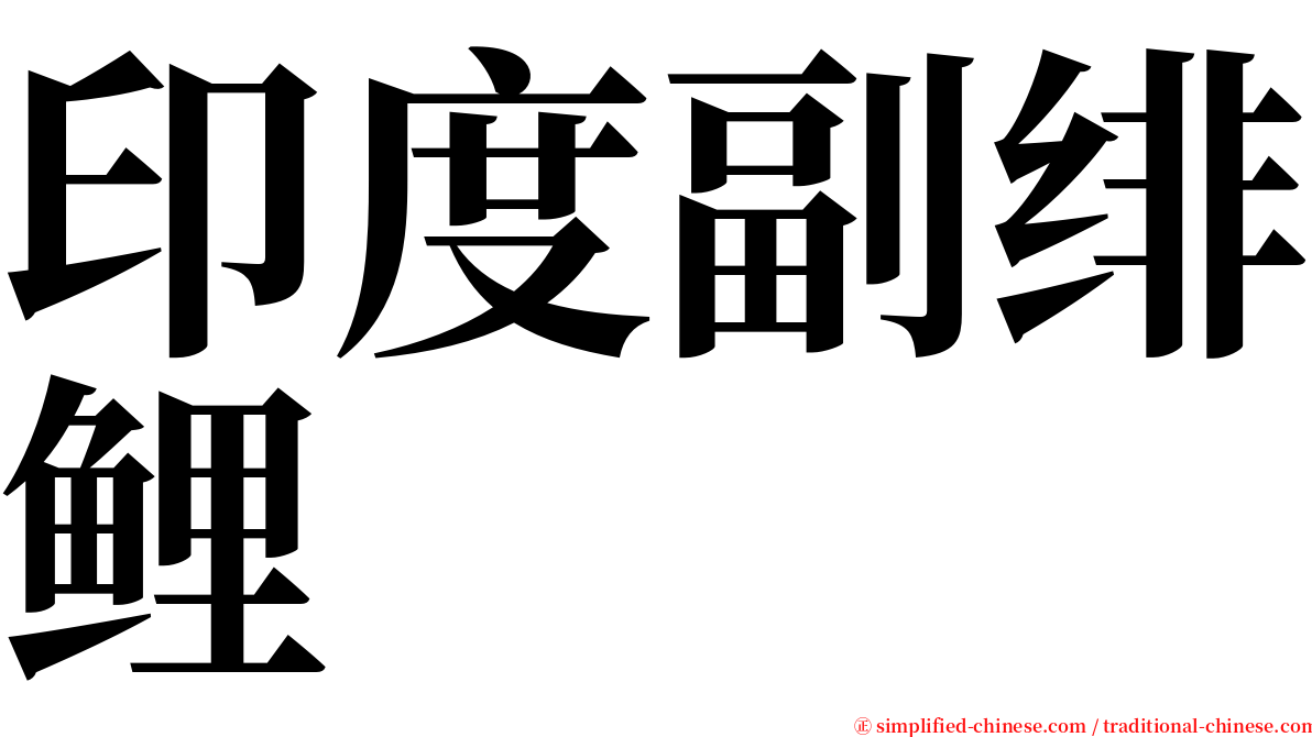 印度副绯鲤 serif font