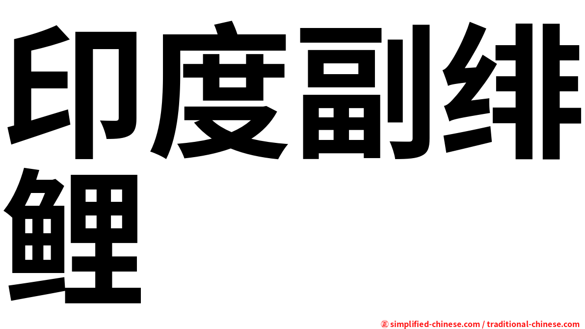 印度副绯鲤