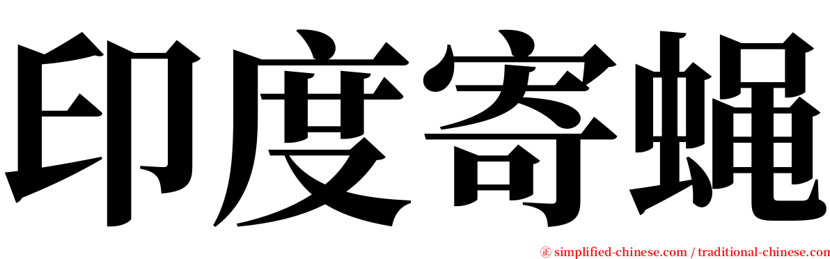 印度寄蝇 serif font