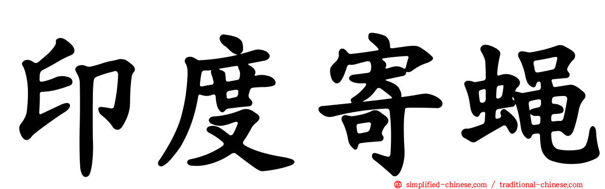 印度寄蝇