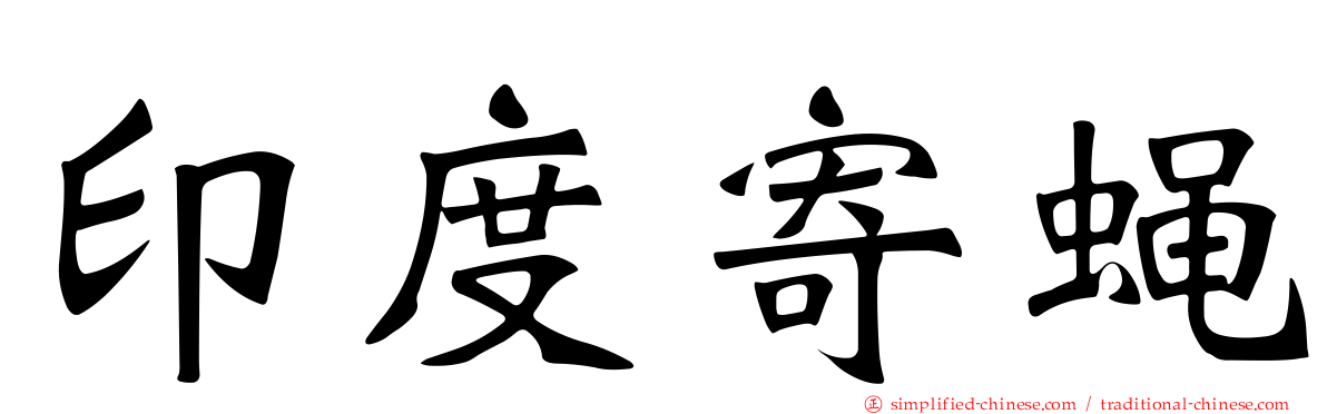 印度寄蝇