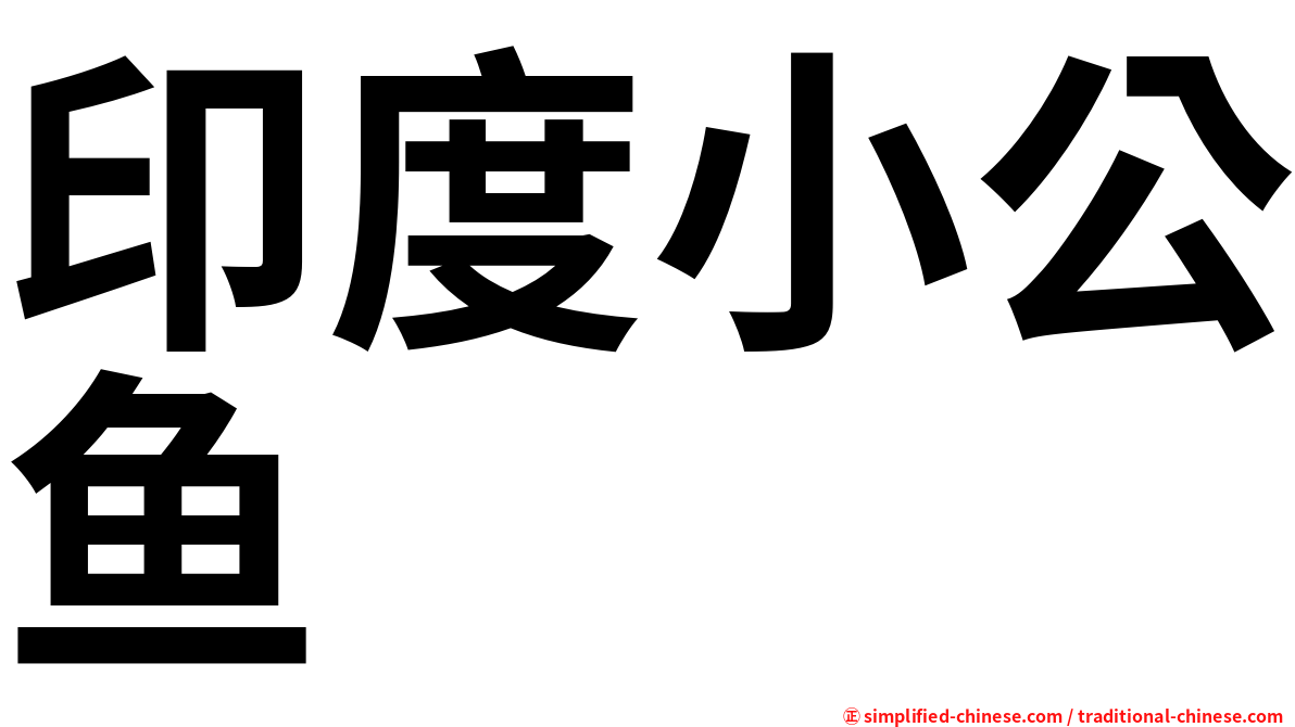 印度小公鱼