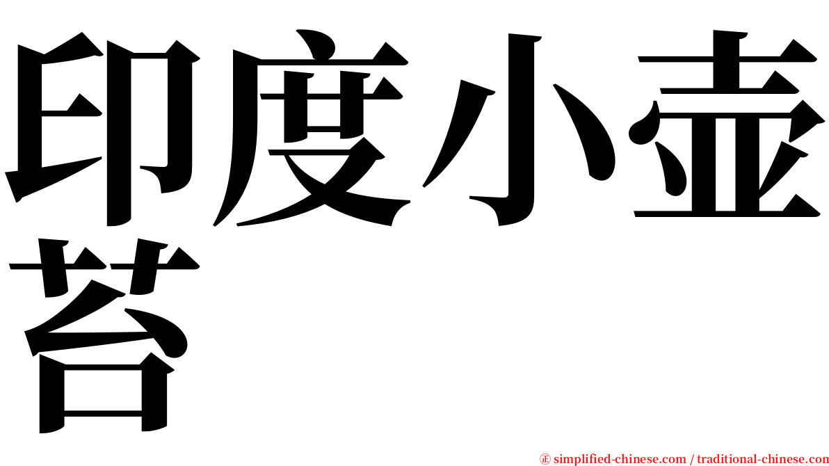 印度小壶苔 serif font