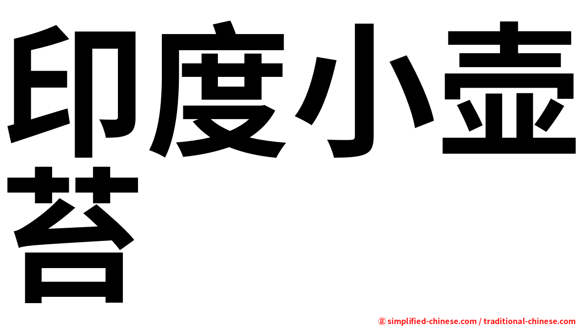 印度小壶苔