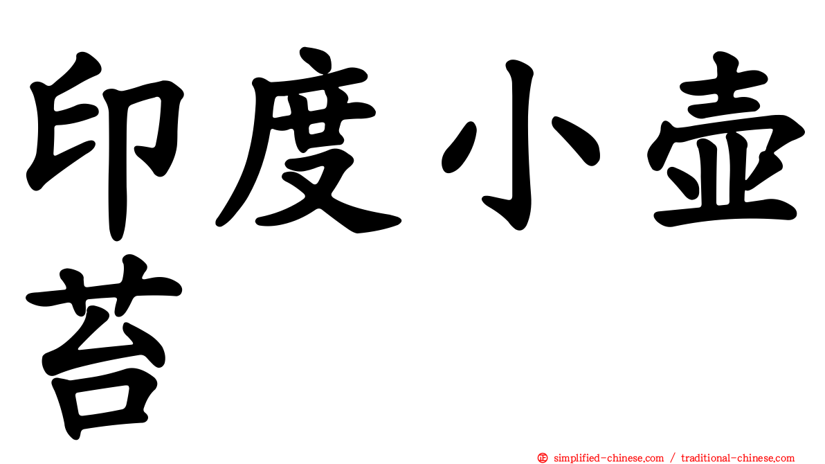 印度小壶苔