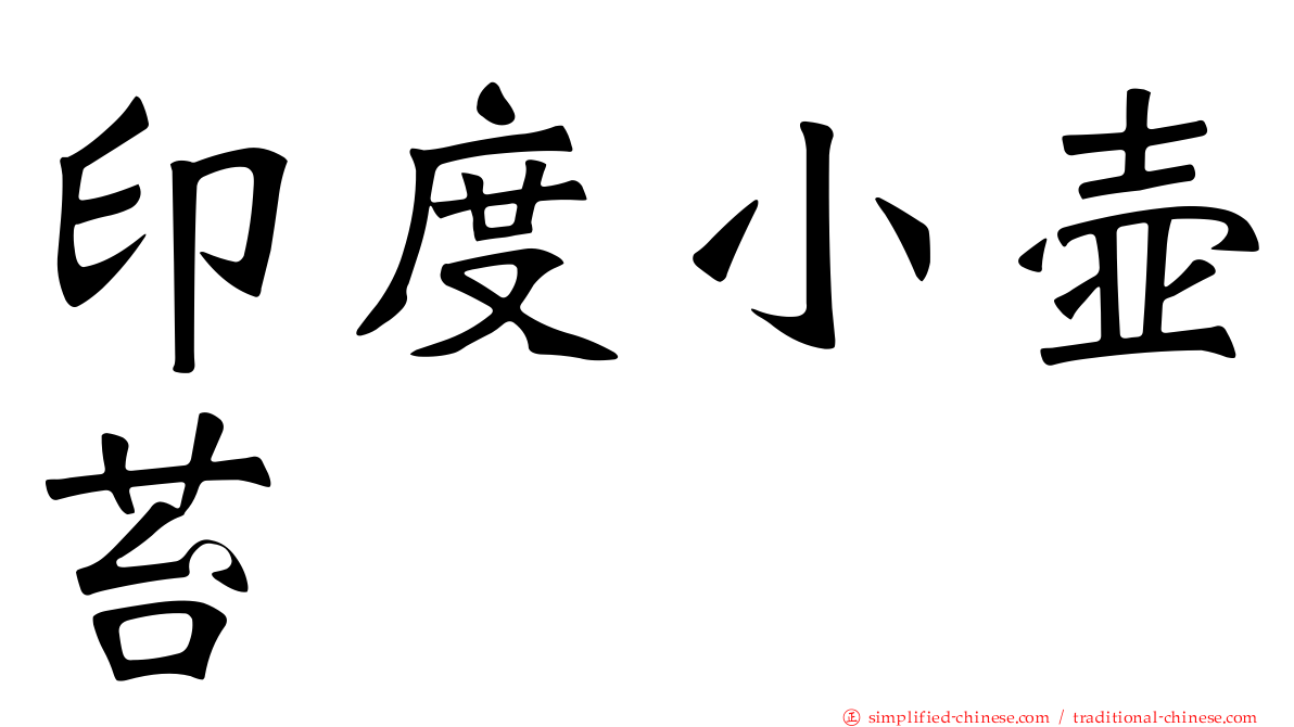 印度小壶苔