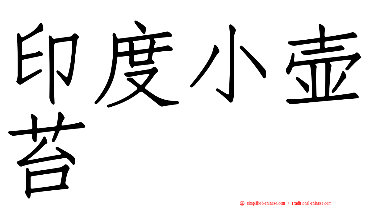 印度小壶苔