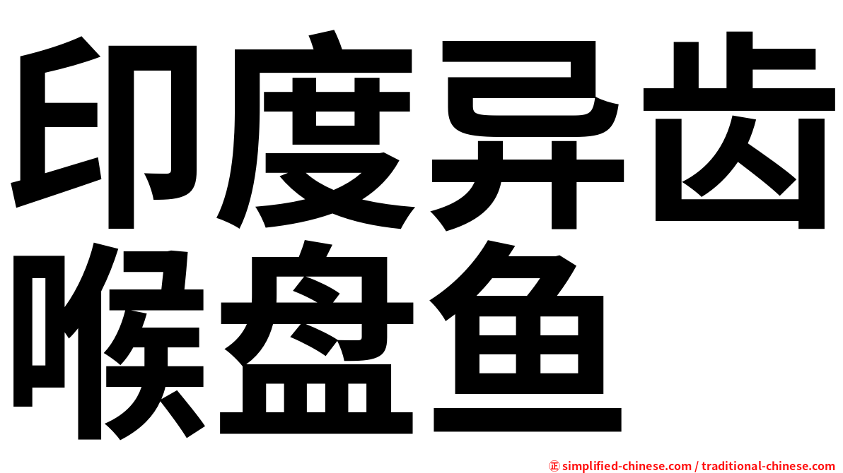 印度异齿喉盘鱼