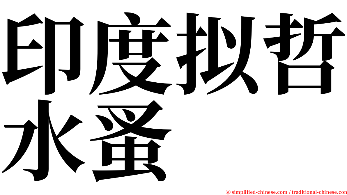 印度拟哲水蚤 serif font