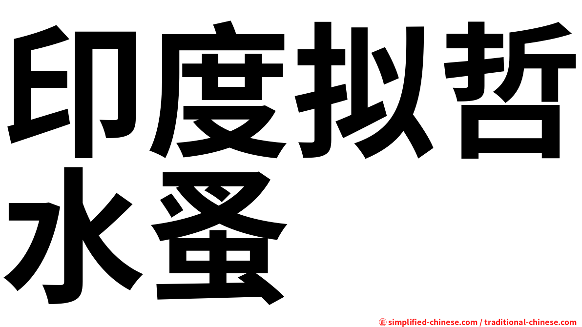 印度拟哲水蚤