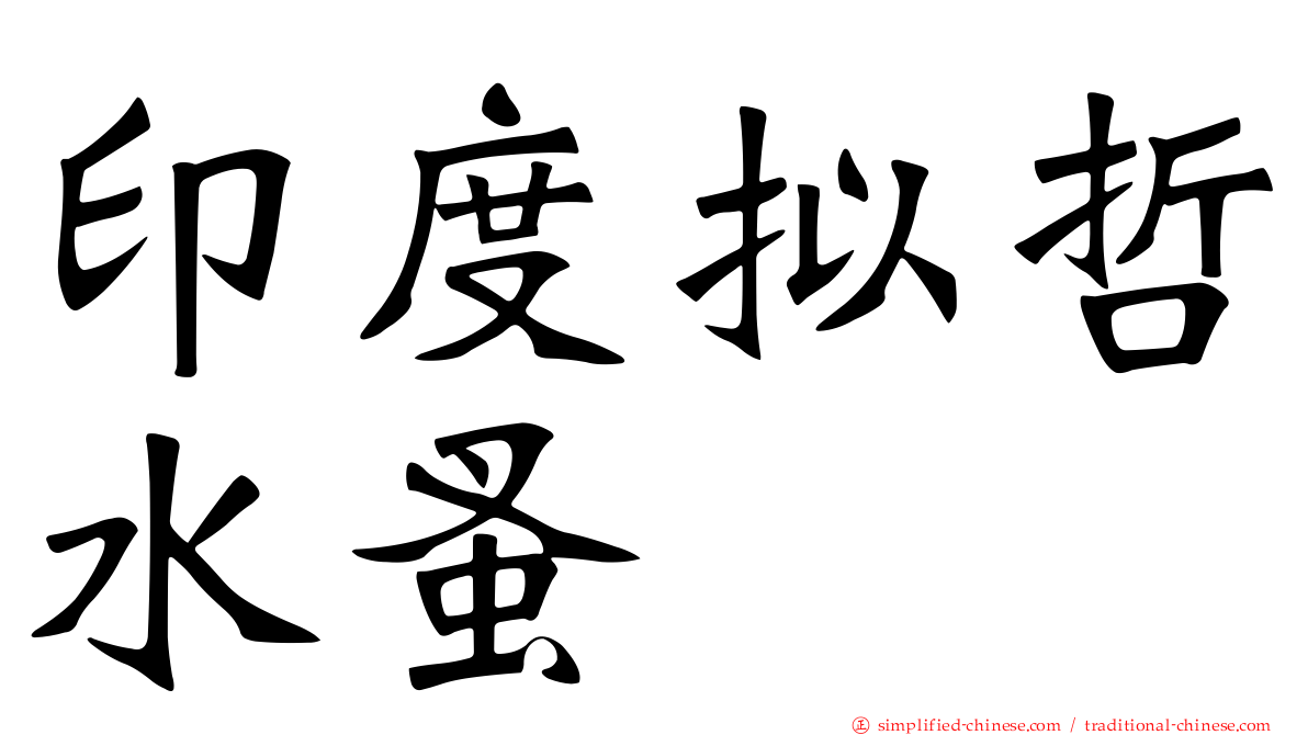 印度拟哲水蚤