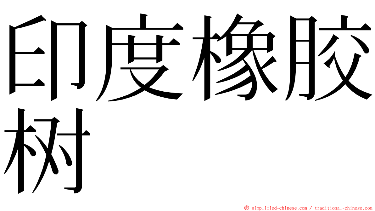 印度橡胶树 ming font