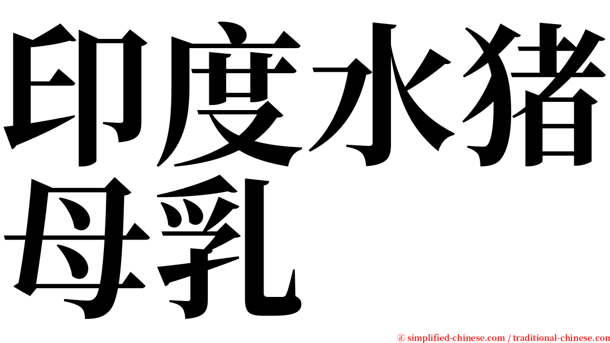 印度水猪母乳 serif font