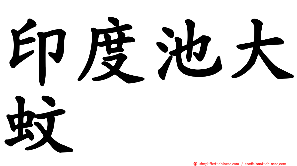 印度池大蚊