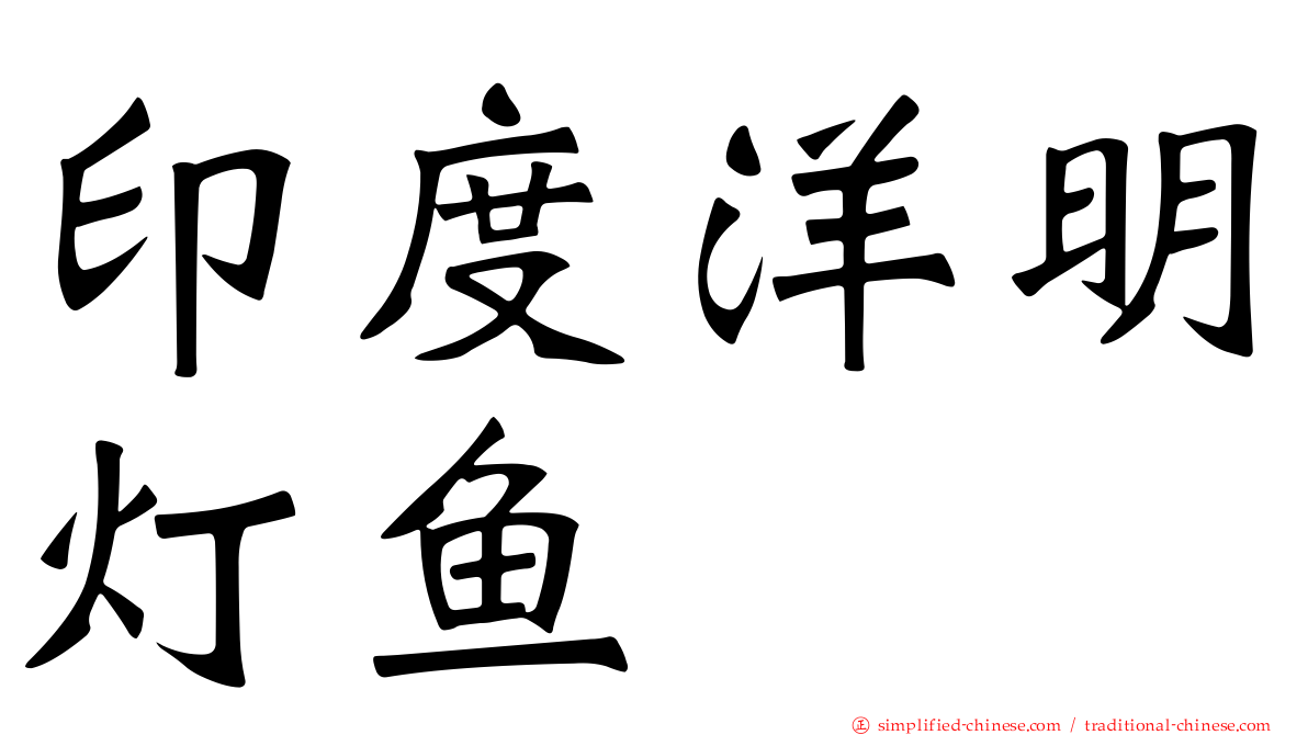 印度洋明灯鱼