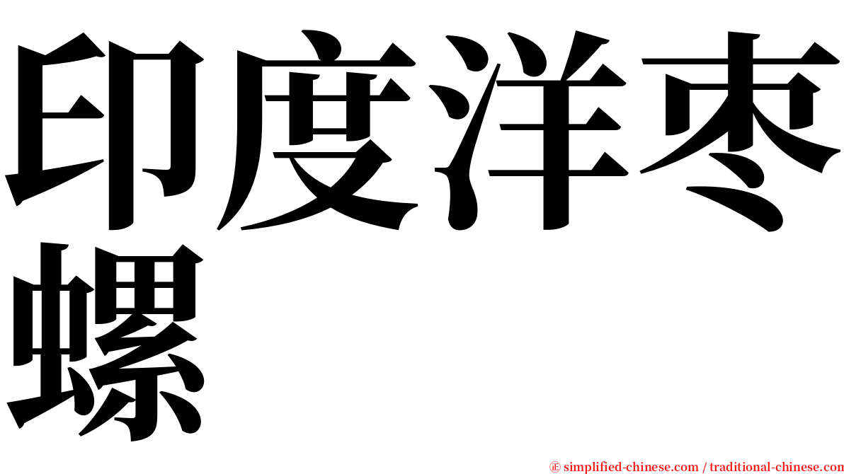 印度洋枣螺 serif font