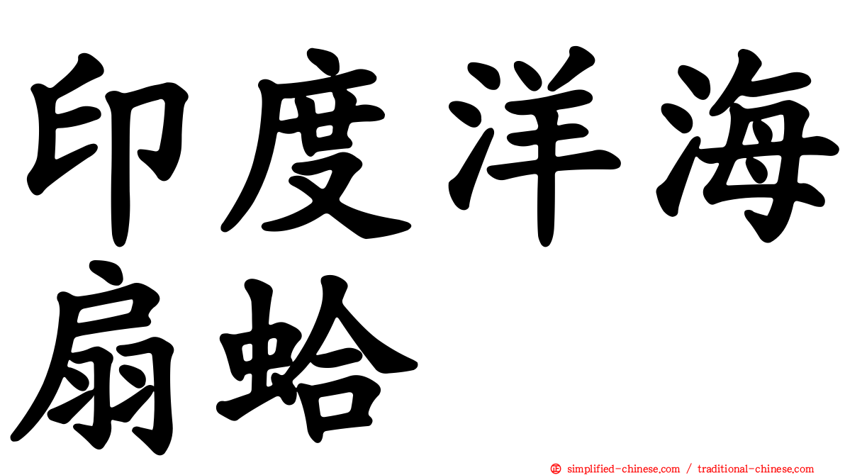 印度洋海扇蛤