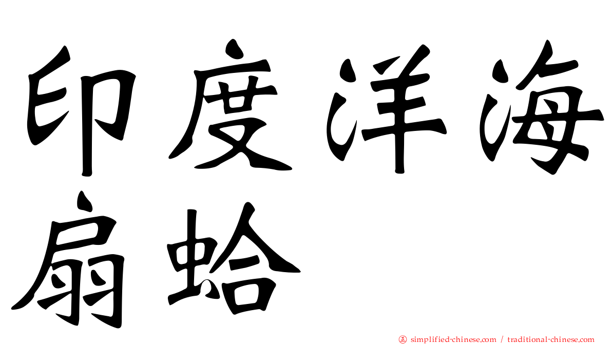 印度洋海扇蛤