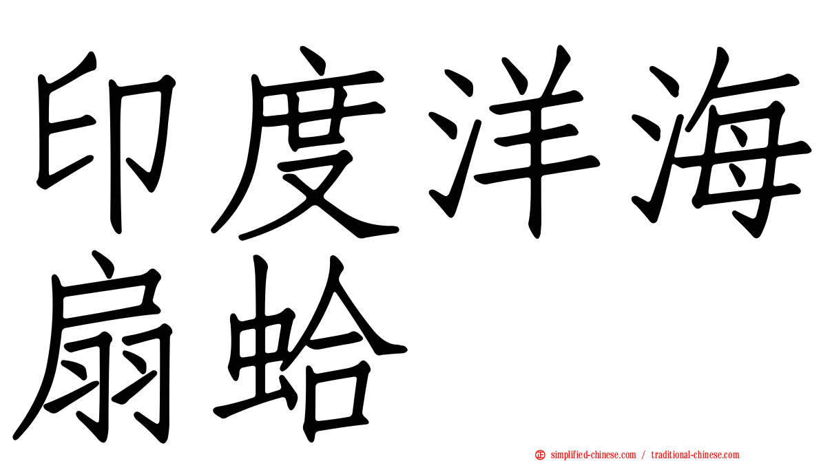 印度洋海扇蛤
