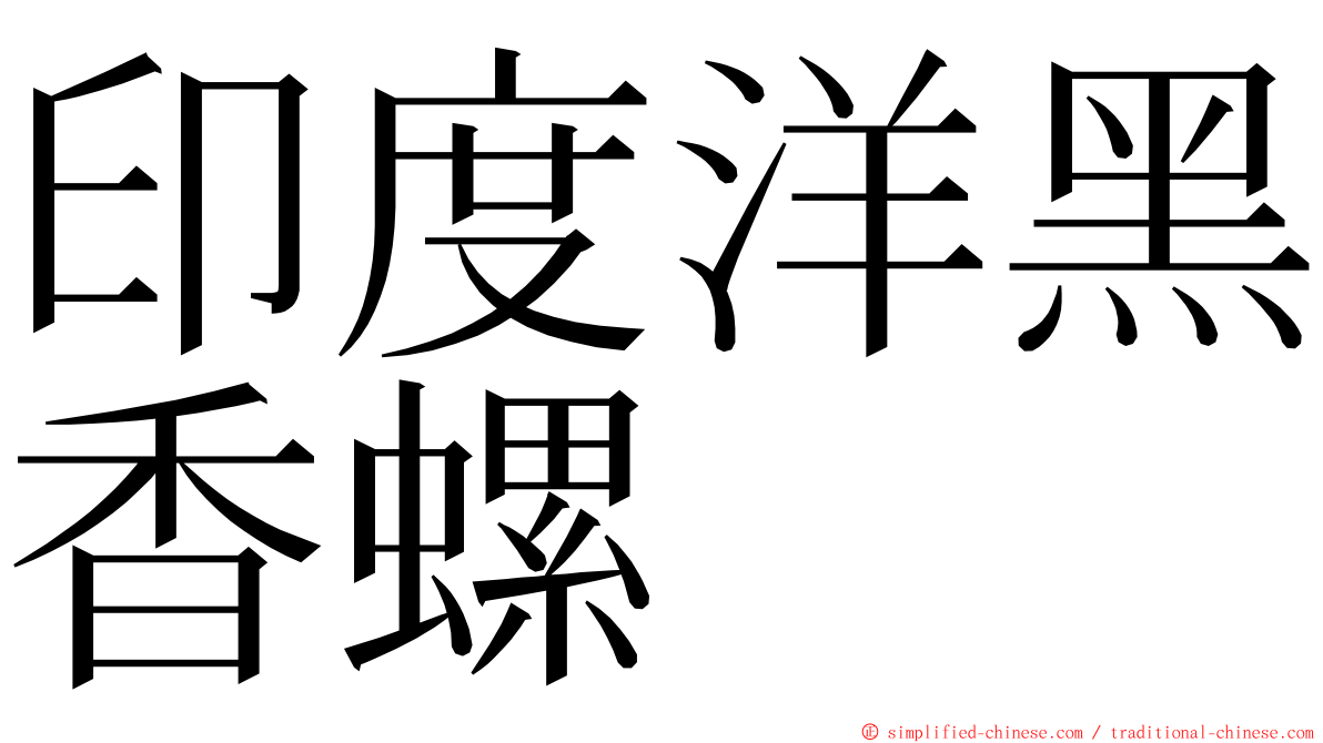 印度洋黑香螺 ming font