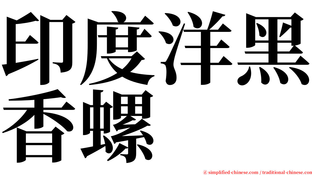 印度洋黑香螺 serif font