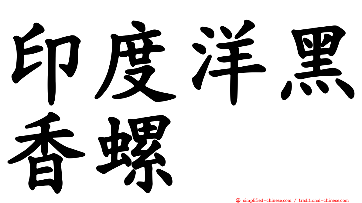 印度洋黑香螺