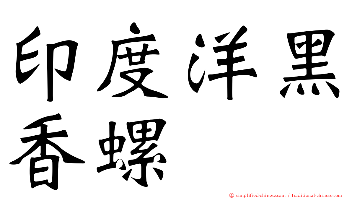 印度洋黑香螺