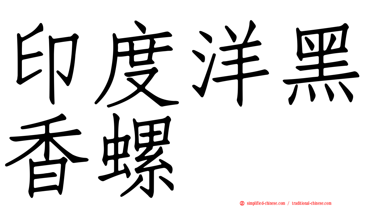 印度洋黑香螺