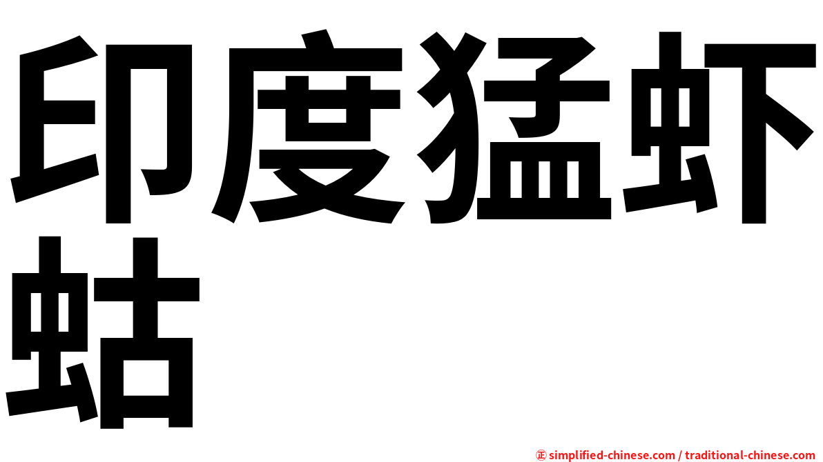 印度猛虾蛄