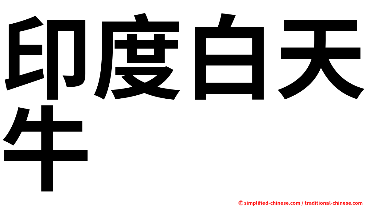 印度白天牛