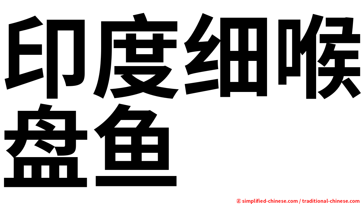 印度细喉盘鱼