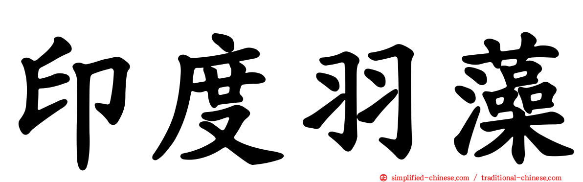 印度羽藻