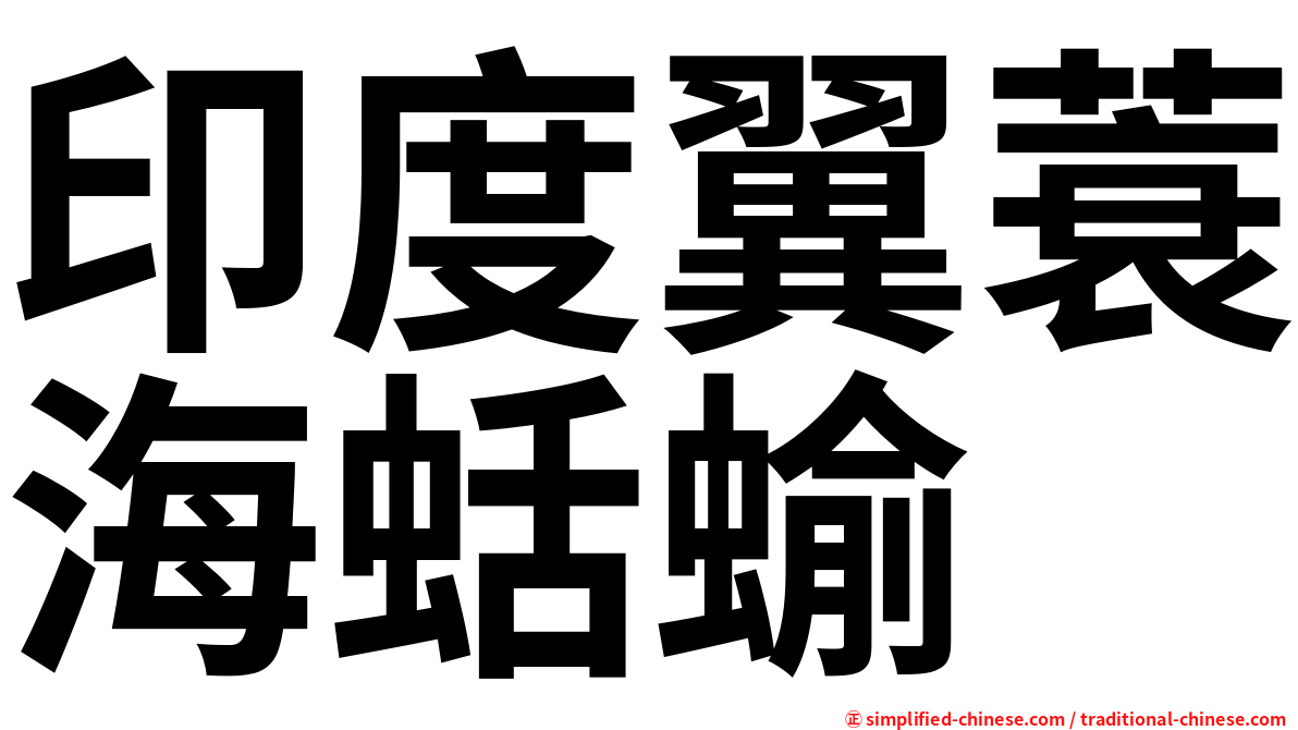 印度翼蓑海蛞蝓