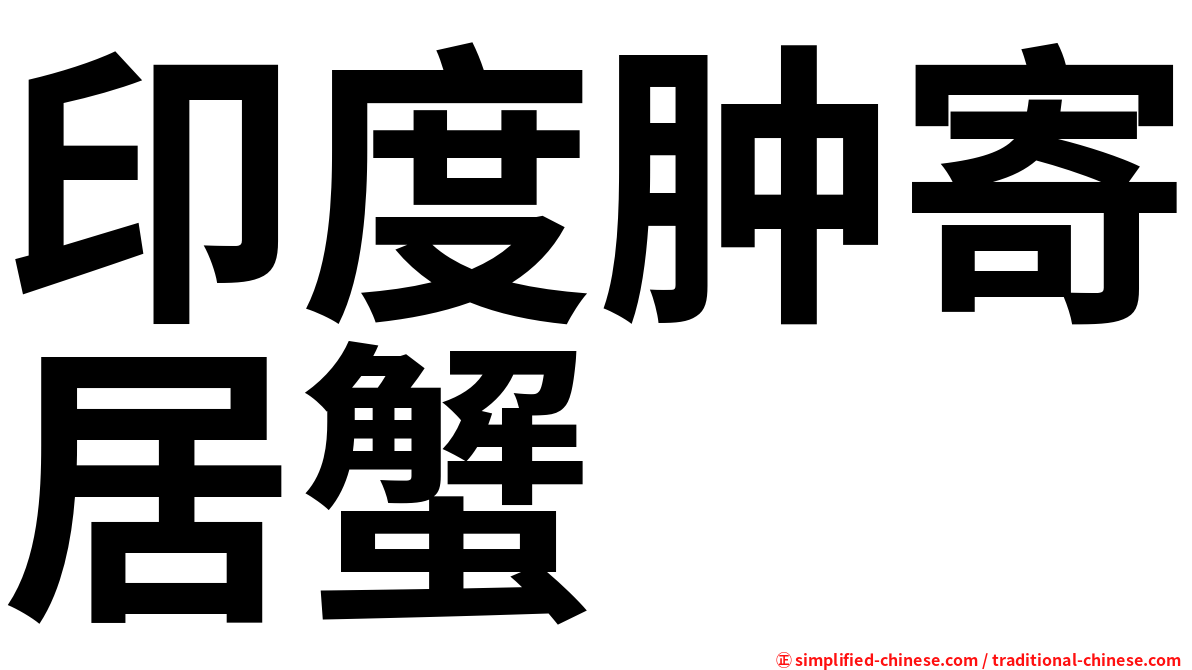 印度肿寄居蟹