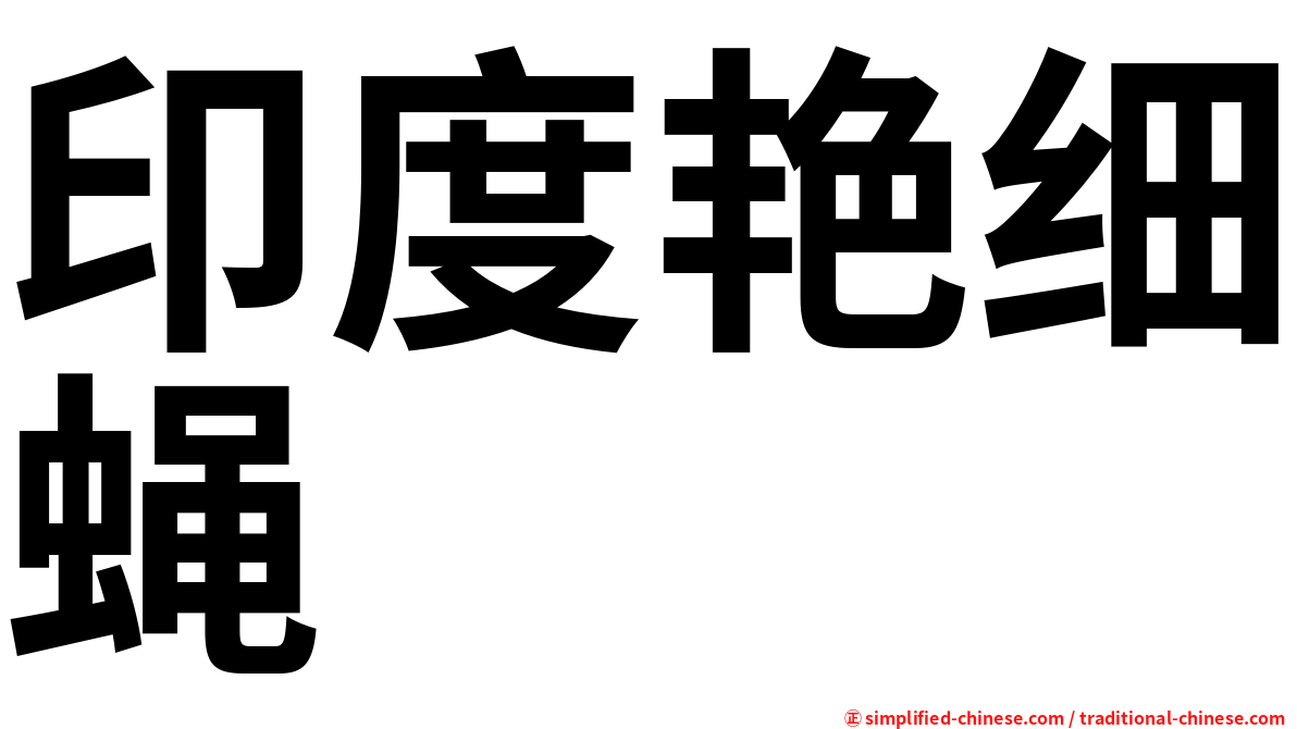 印度艳细蝇