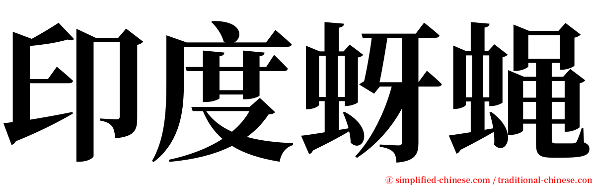 印度蚜蝇 serif font
