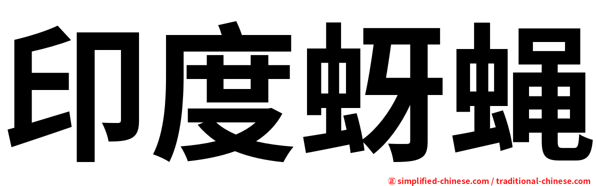 印度蚜蝇